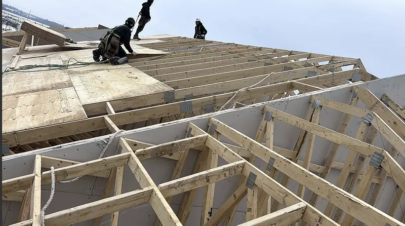 Roof framing construction