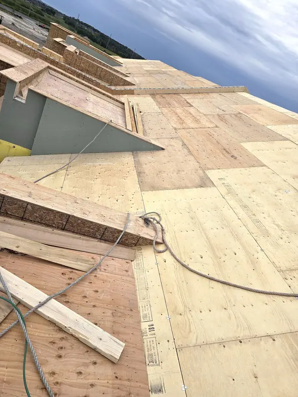 Roof plywood sheathing detail