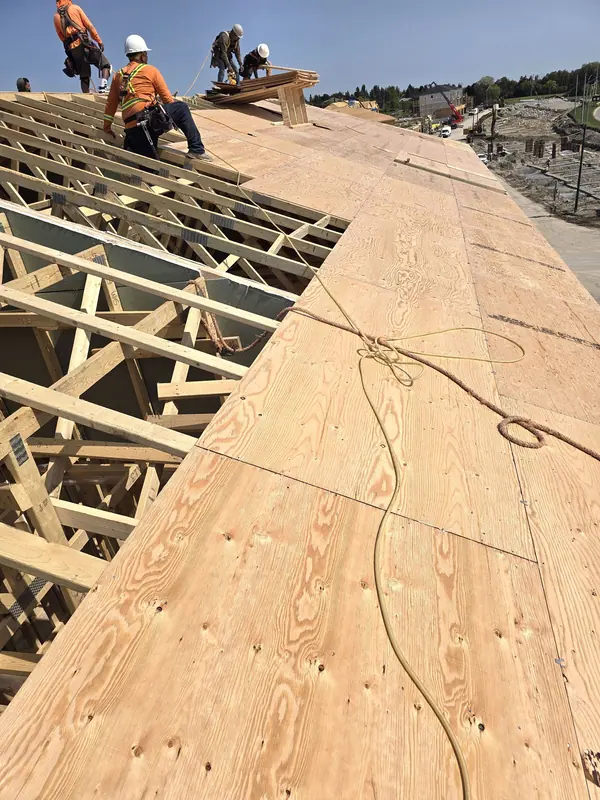 Roofing crew plywood sheathing trusses